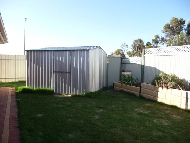 P1000969.jpg