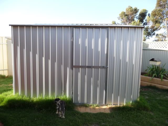 P1000970.jpg