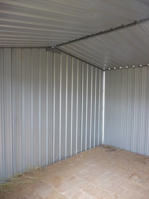 P1000977.jpg