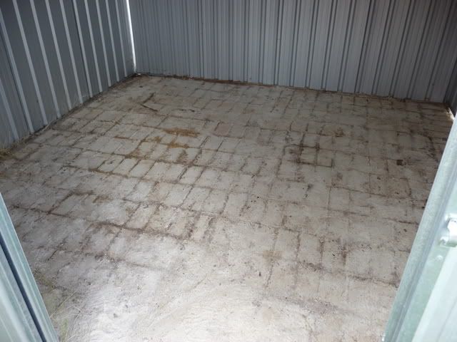P1000979.jpg