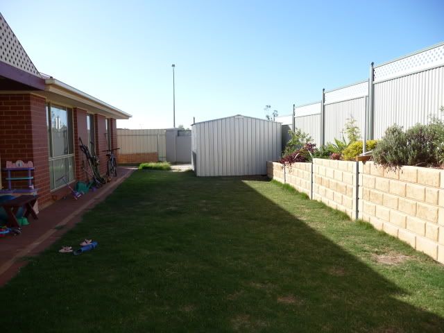 P1000998-1.jpg