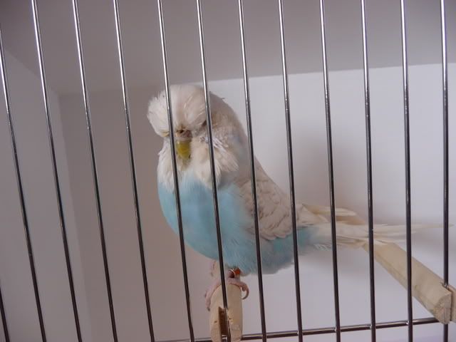 P1010179.jpg