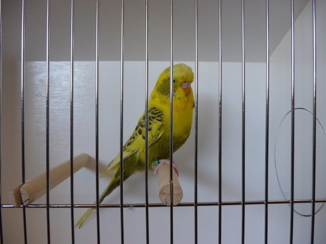 P1010246.jpg