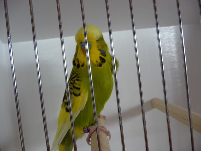 P1010287.jpg