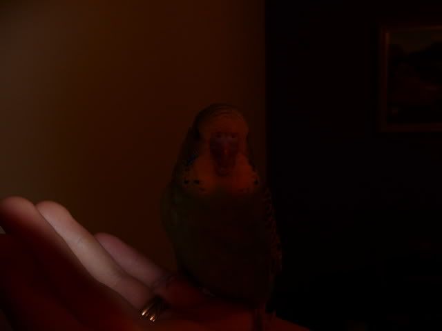 P1010678.jpg