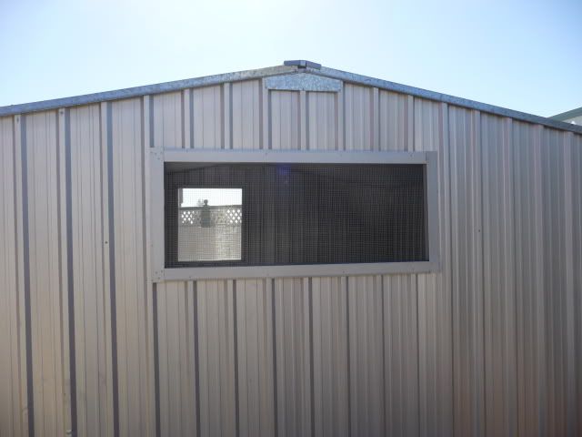 P1020115.jpg