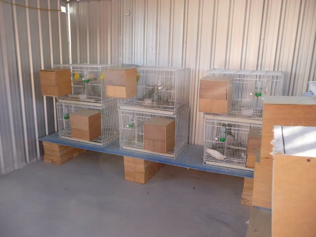 P1020128.jpg