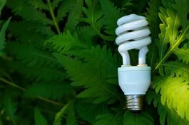 Green Light-bulbs