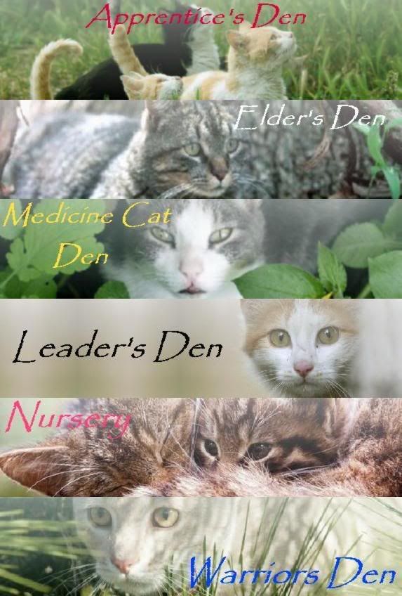 Warrior cat dens Pictures, Images and Photos