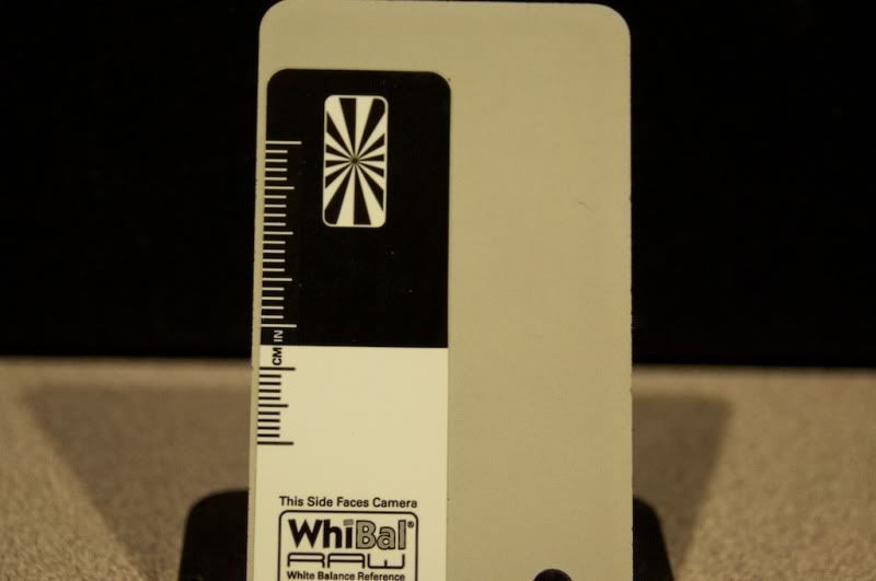 WhiBal-Desk-Untreated2.jpg