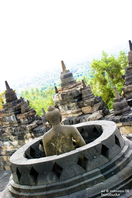 Borobudur - DP8