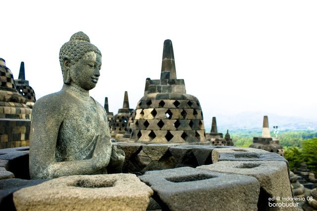 Borobudur - DP11