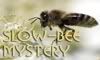 Slow Bee Mystery KAL