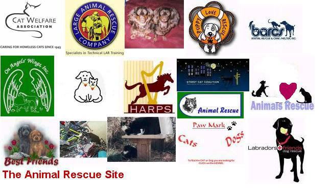 animal rescue site 