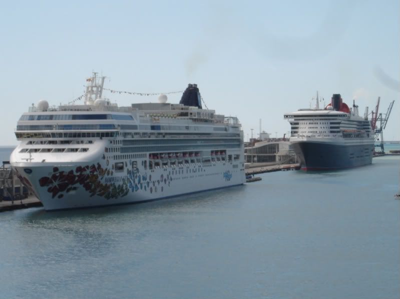 DSC07571-1.jpg