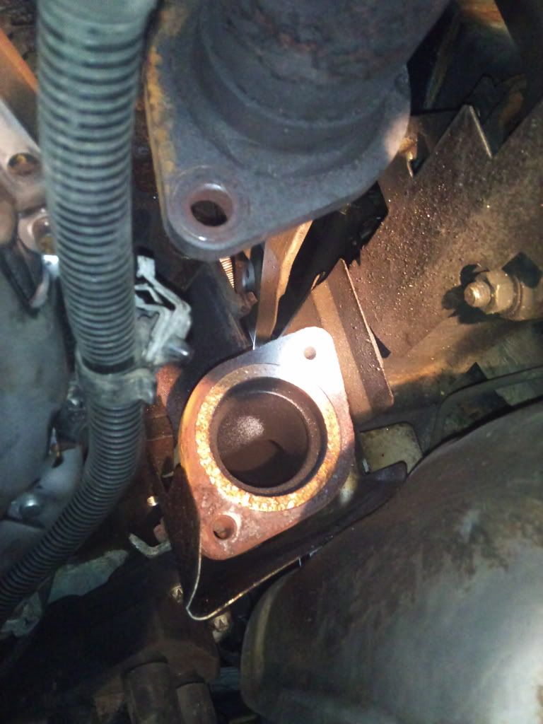 DSC_0118.jpg?t=1297361898