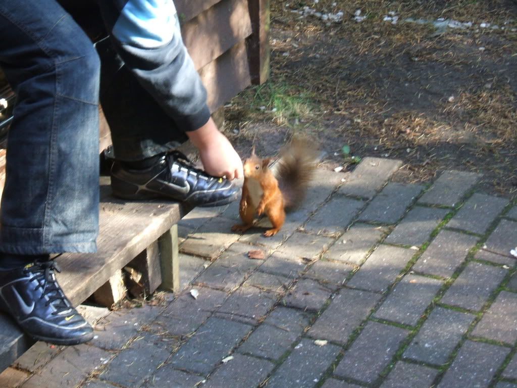DSCF6247.jpg