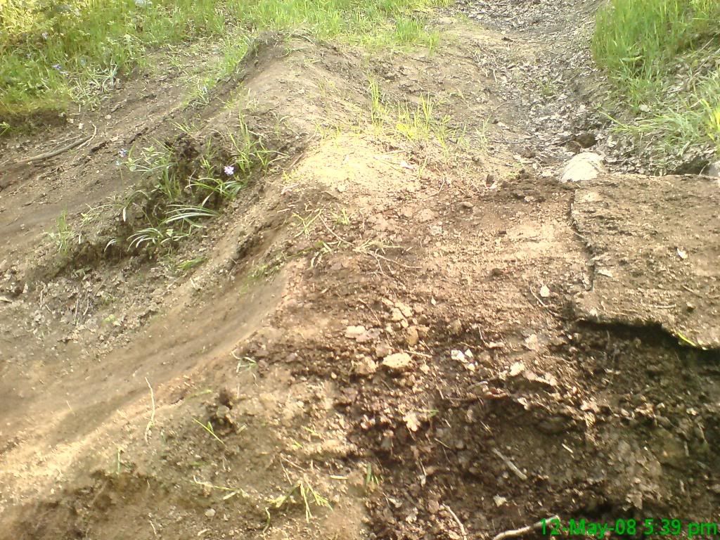 DSC00074.jpg