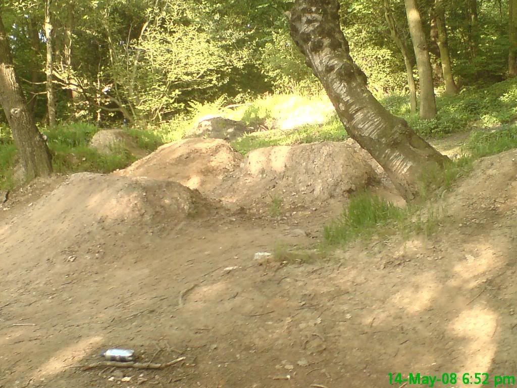 DSC00078.jpg