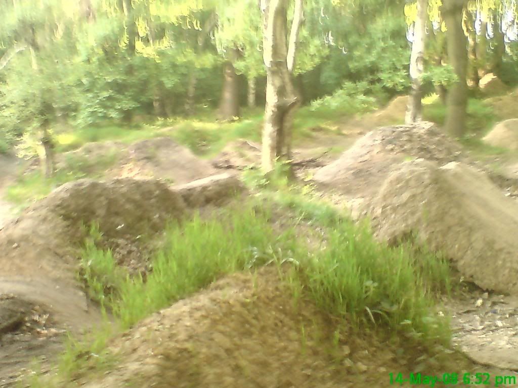 DSC00079.jpg