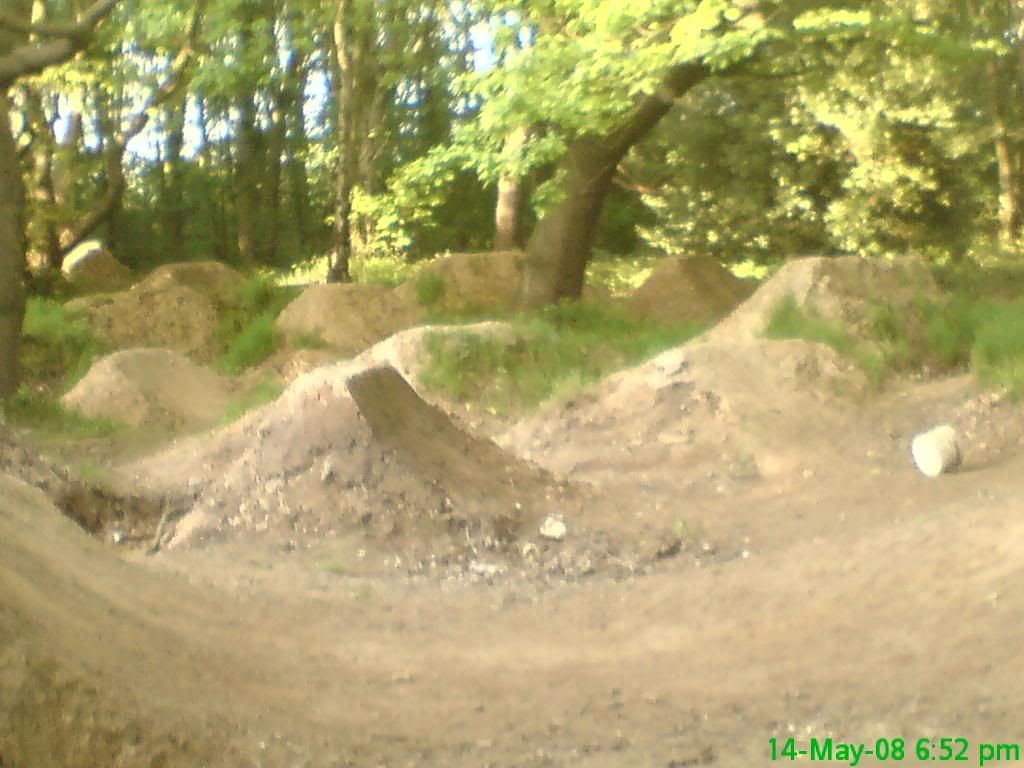 DSC00080.jpg