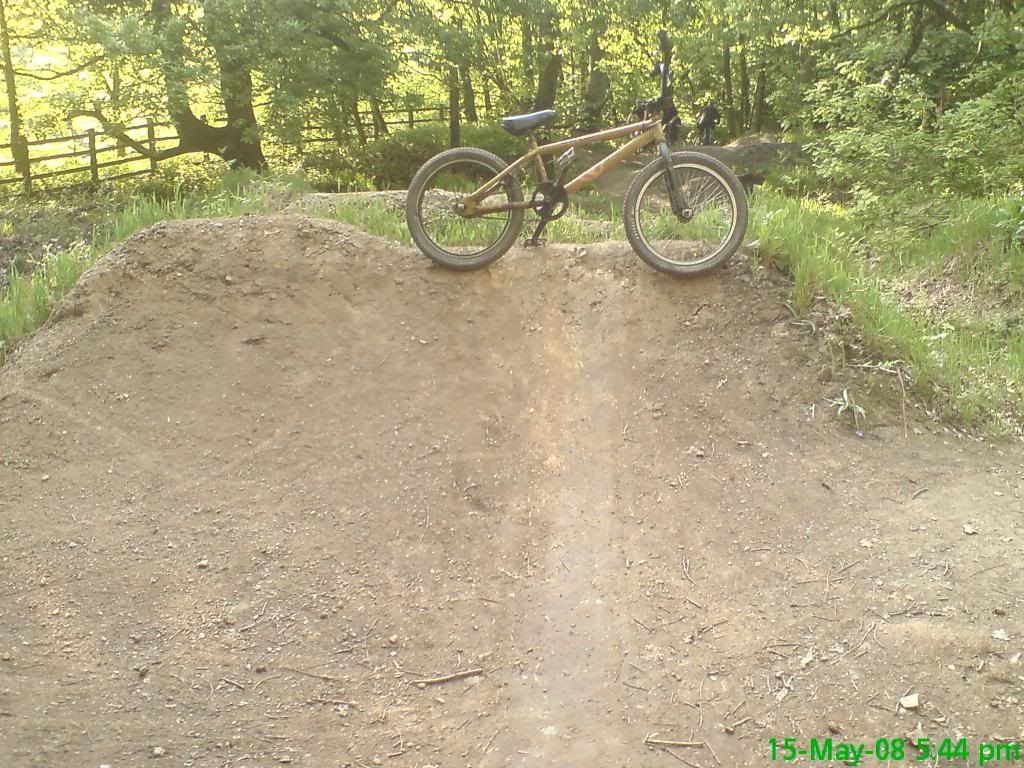 DSC00083.jpg