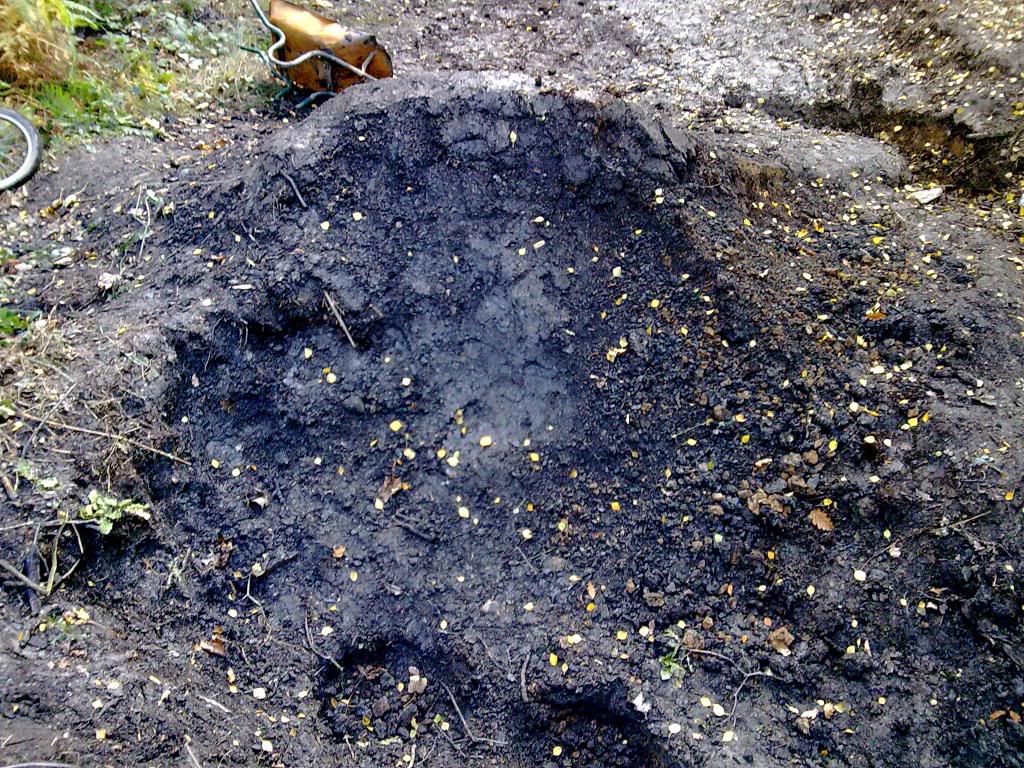 Image010.jpg