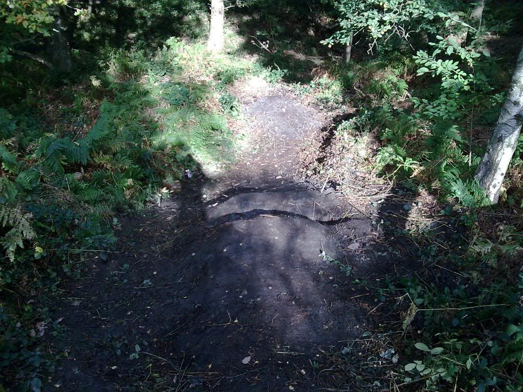Image011.jpg