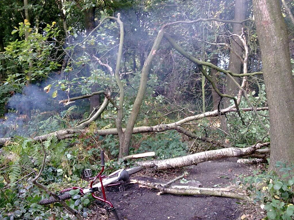 Image015.jpg
