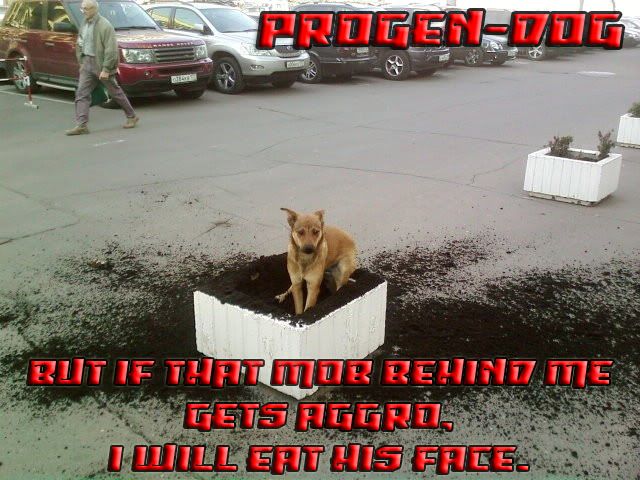progen-dog2.jpg