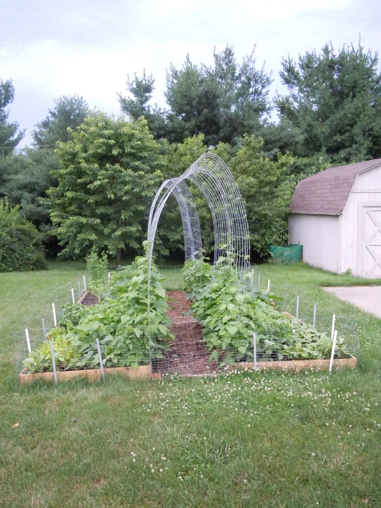 Interesting use for Old Hog Panels - Homesteading Questions