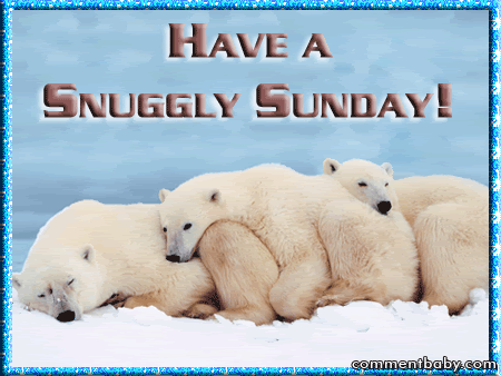 snuggly sunday Pictures, Images and Photos
