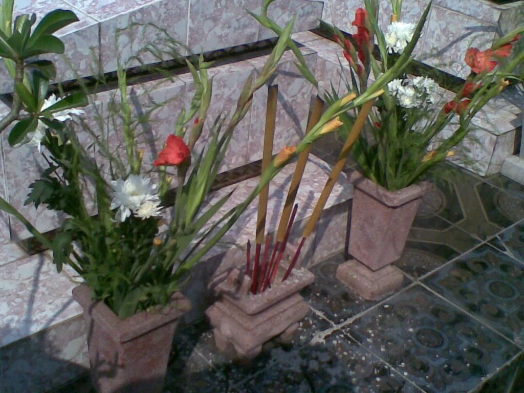 Show hình chơi Tết - 4