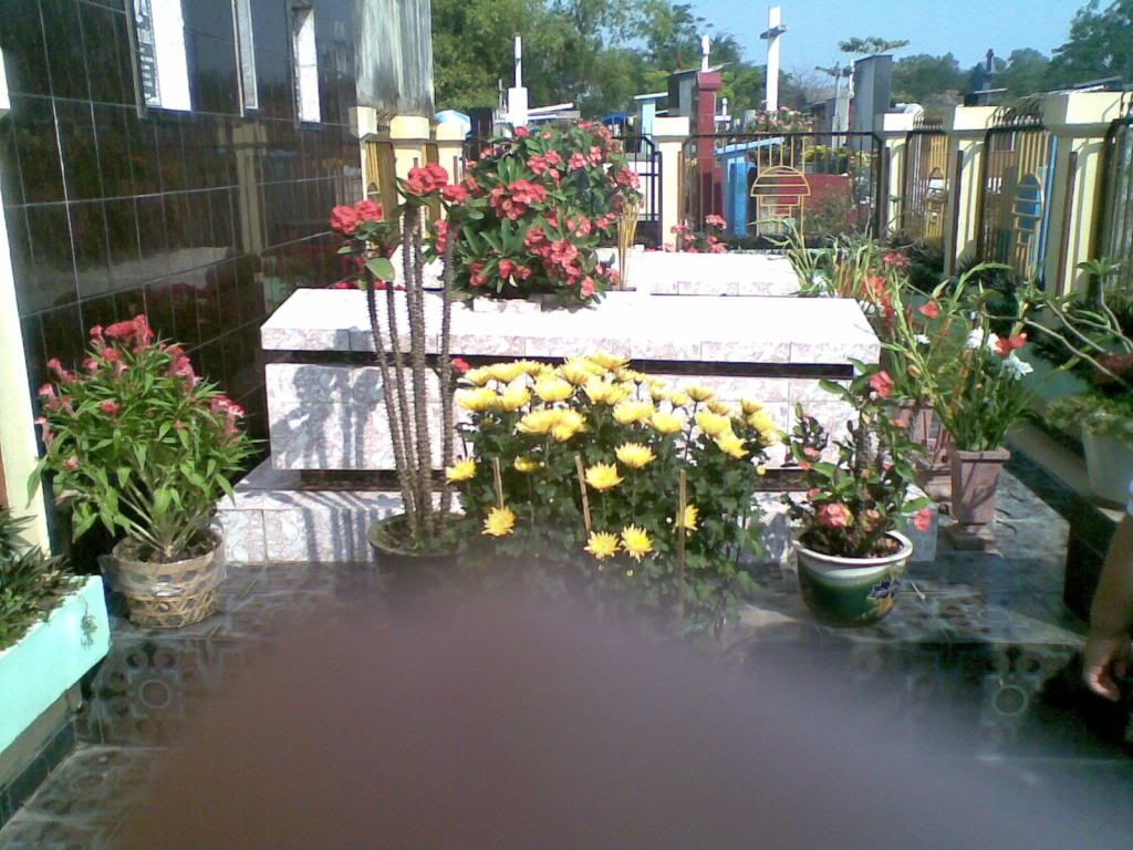 Show hình chơi Tết