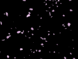 petals.gif