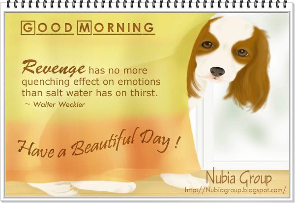 Nubia_group : nowhere else! Nubia_group : nowhere else!