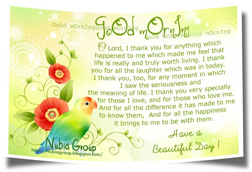 Nubia_group : nowhere else! Nubia_group : nowhere else!