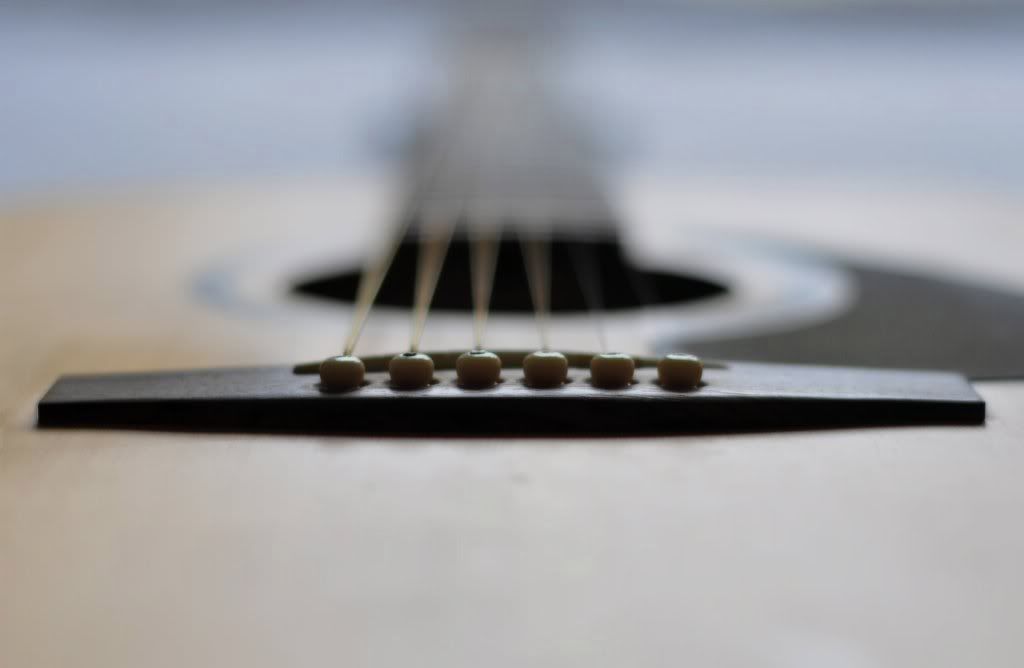 Guitar (depth of field)