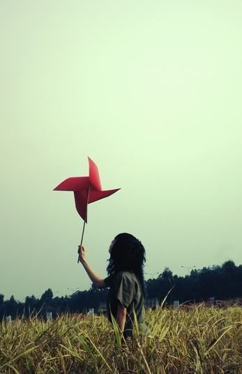 wind Pictures, Images and Photos