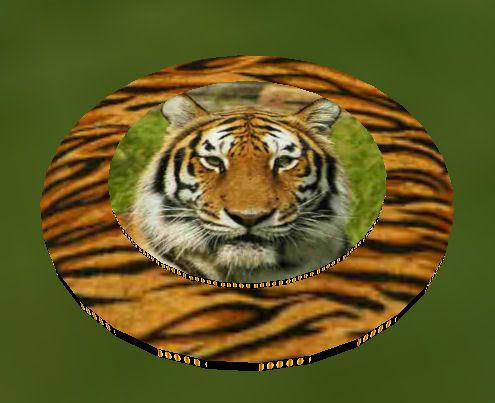 Tiger dance floor
