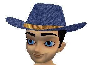 Blue Jean Cowboy Hat