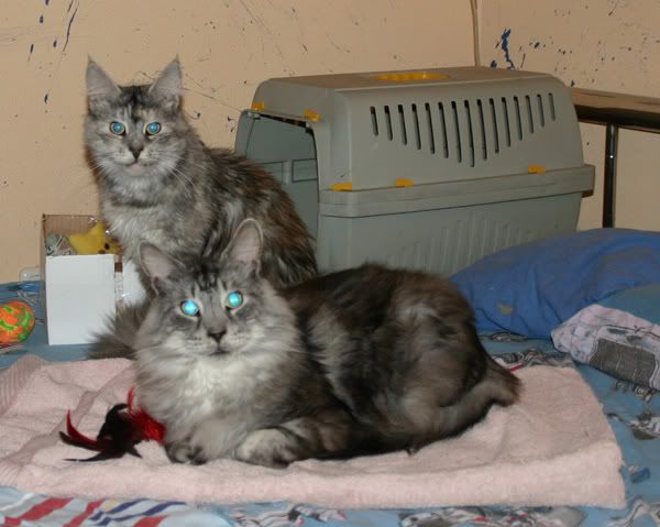 Dustin_Penelope261208.jpg