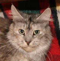 a_penelope2909.jpg