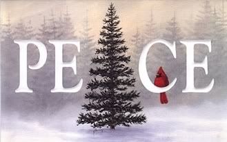 Christmas Peace Pictures, Images and Photos