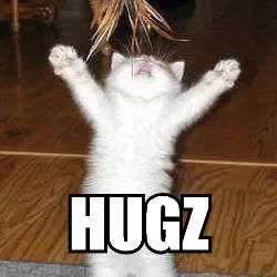 caturday-hugz.jpg
