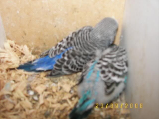 100_4296.jpg