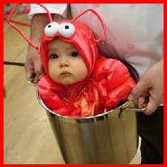 sticker lobster baby