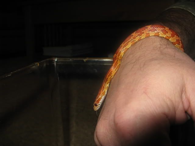 IMG_4148.jpg