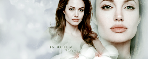 [Image: inbloomcopy.png]