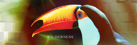 [Image: wildernesscopy.png]